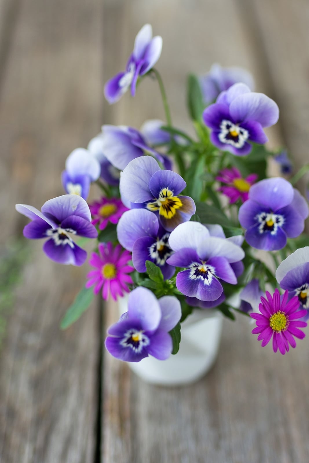 Blumen trocknen und pressen in 2 Minuten!