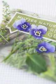 Blumen trocknen und pressen in 2 Minuten!