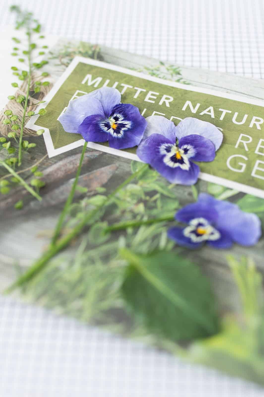Blumen trocknen und pressen in 2 Minuten!