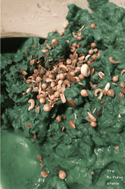 Selbstgemachte Samenherzen / Blumenbomben / Seedbombs