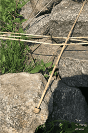Pfeil und Bogen aus Haselnuss und Schilfrohr einfach selber bauen