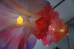 Blumen aus Butterbrottüten