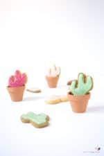 Kaktus Cookies mit bizzeligem Brausefrosting backen + Video | Mohntage