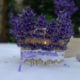 DIY Lavendel Windlicht basteln - Einweckglas Upcycling