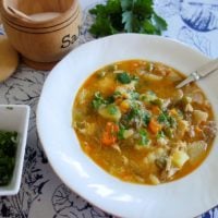 Frühlingseintopf - leckere Suppe mit Hühnerfleisch und frischem Gemüse