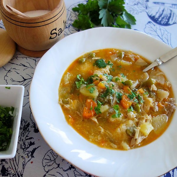 Frühlingseintopf - leckere Suppe mit Hühnerfleisch und frischem Gemüse