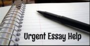 Enhance Your Scores With Quick Essay Help