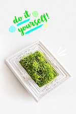 DIY Mini-Moosbild basteln als Geschenk