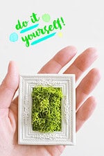 DIY Mini-Moosbild basteln als Geschenk