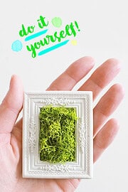 DIY Mini-Moosbild basteln als Geschenk