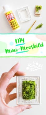 DIY Mini-Moosbild basteln als Geschenk