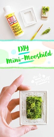 DIY Mini-Moosbild basteln als Geschenk
