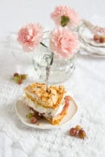 „STACHELBEERTORTE MIT MANDELBAISER!“