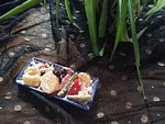 griechischer Kartoffel- Bohnensalat mit Feta- Dressing