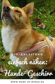 kostenlose Anleitung: Hundegeschirr nähen