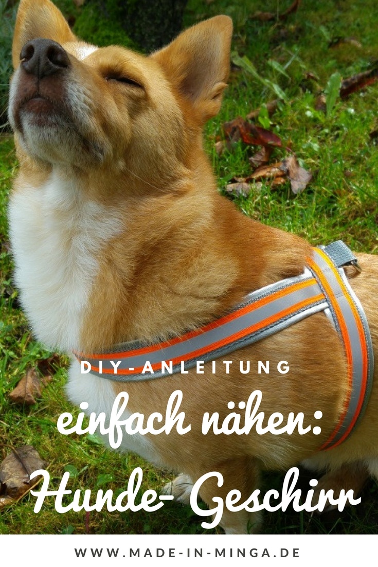 kostenlose Anleitung: Hundegeschirr nähen