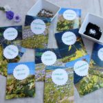 DIY Upcycling – Samentüten aus altem Wandkalender basteln