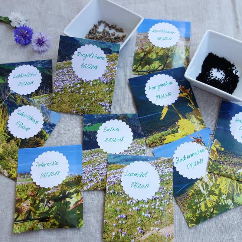 DIY Upcycling – Samentüten aus altem Wandkalender basteln