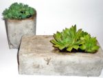 Wie man Torfbeton (Hypertufa) herstellt