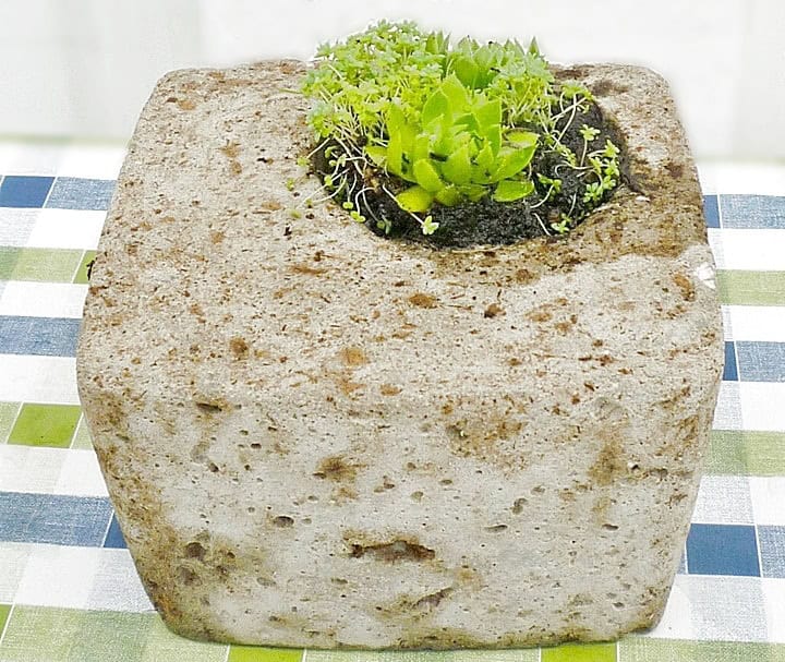 Wie man Torfbeton (Hypertufa) herstellt