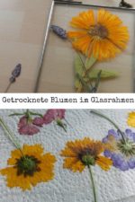Blumen pressen für die Herbst-Dekoration