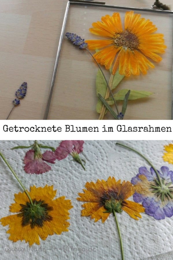 Blumen pressen für die Herbst-Dekoration
