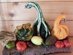 Herbstdekoration mit kleinen Kürbissen
