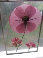 Blumen pressen für die Herbst-Dekoration
