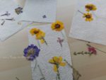Blumen pressen für die Herbst-Dekoration