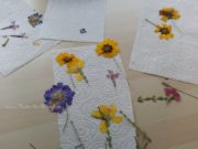 Blumen pressen für die Herbst-Dekoration