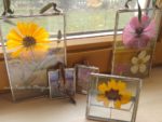 Blumen pressen für die Herbst-Dekoration