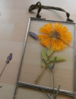 Blumen pressen für die Herbst-Dekoration
