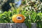 10 Minuten DIY: kleine Halloween-Vampire