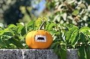 10 Minuten DIY: kleine Halloween-Vampire