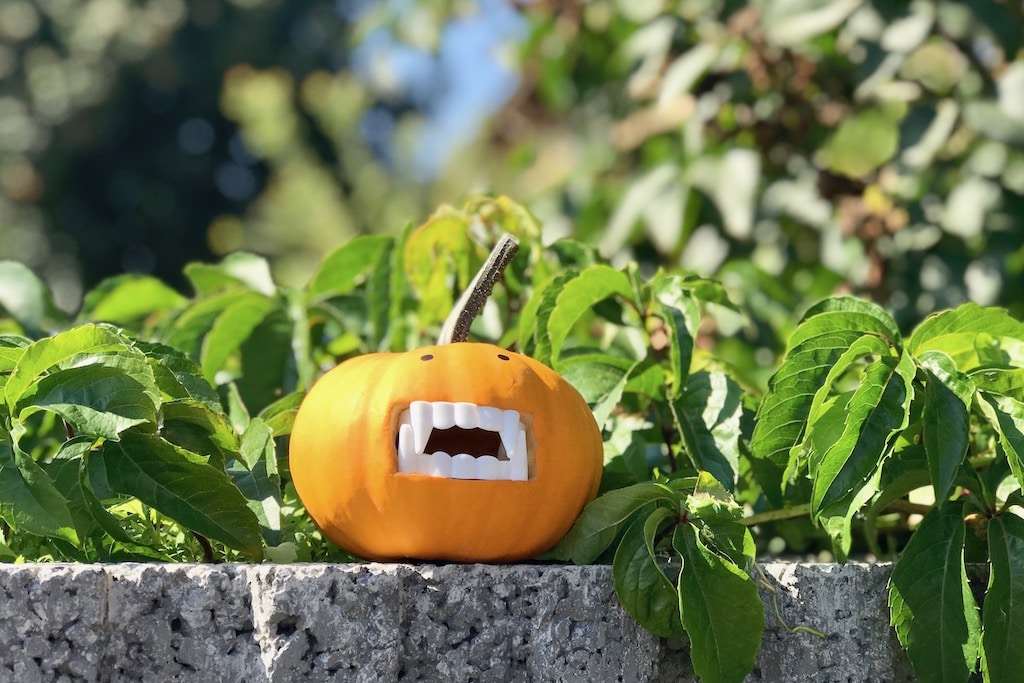 10 Minuten DIY: kleine Halloween-Vampire