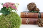 Herbstliche Mooskugel selber basteln