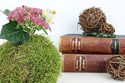Herbstliche Mooskugel selber basteln