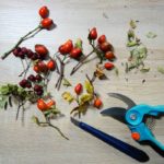 DIY Herbstdeko – Gesteck im Körbchen