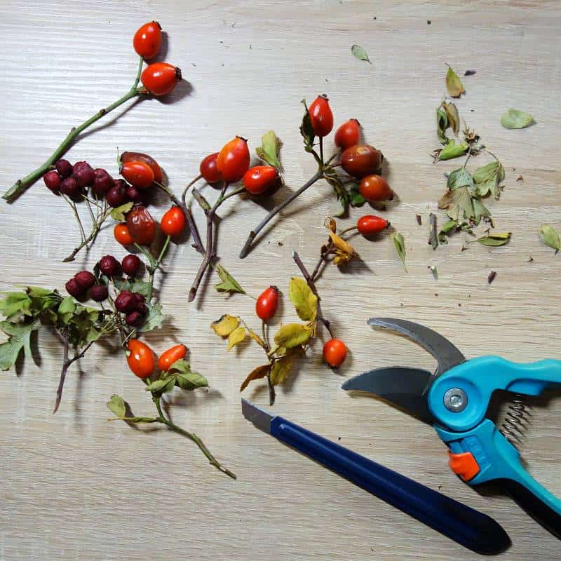 DIY Herbstdeko – Gesteck im Körbchen