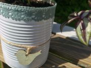 Garten in der Dose