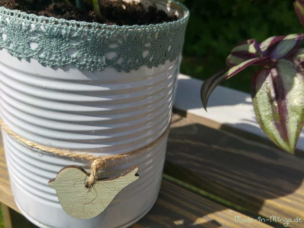 Garten in der Dose