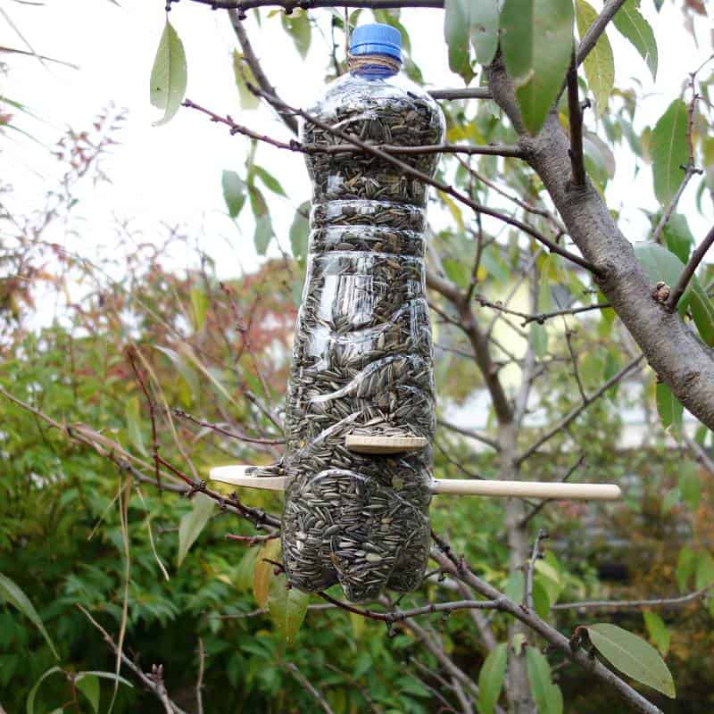 DIY Upcycling Idee – Vogelfutterspender aus Plastikflasche selber bauen