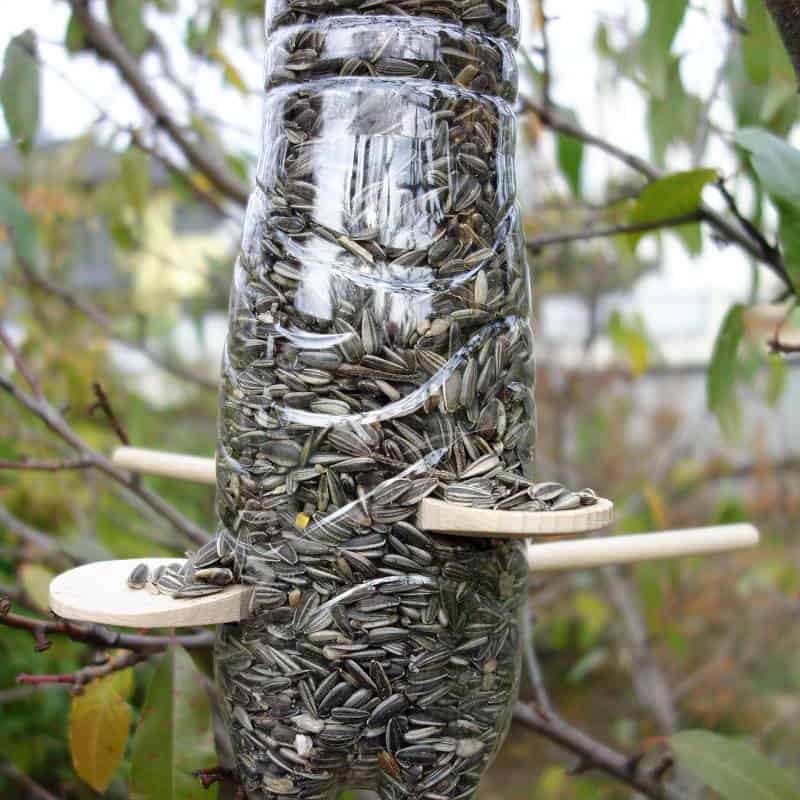 DIY Upcycling Idee – Vogelfutterspender aus Plastikflasche selber bauen
