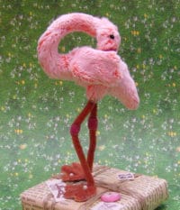 Flamingo