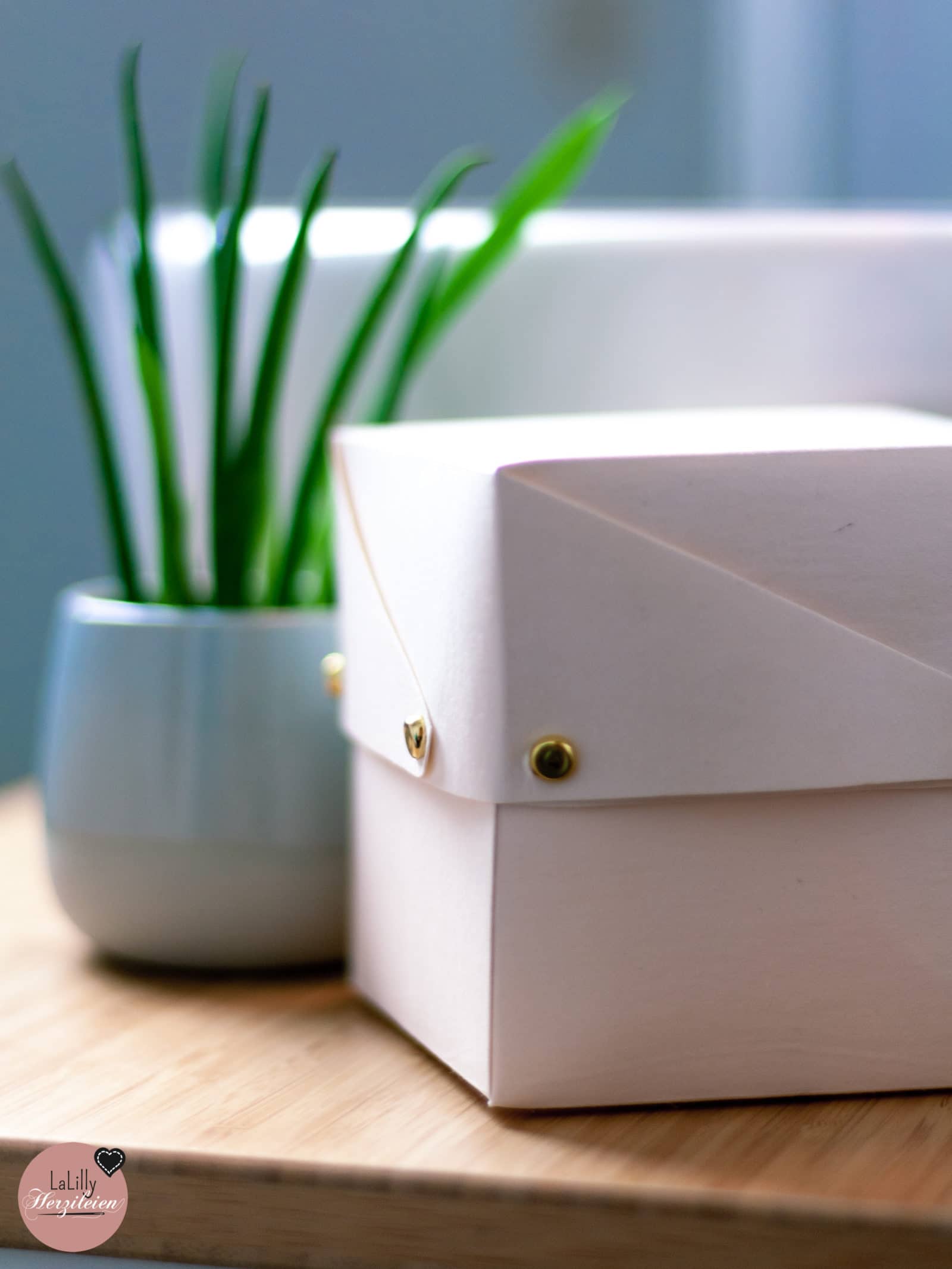 Box Caja