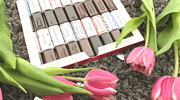 DIY Valentinstagsgeschenk – Sag einfach MERCI