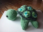 Schildkröte Alwi