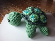 Schildkröte Alwi