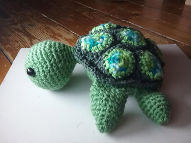 Schildkröte Alwi