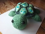 Schildkröte Alwi